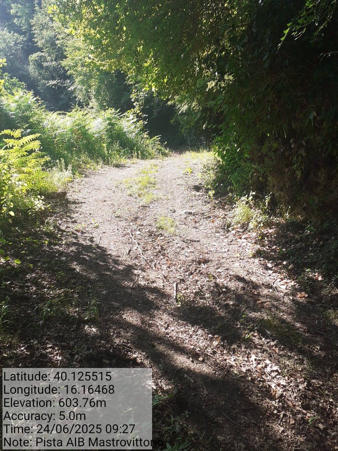 Galleria Fotografica Immagine