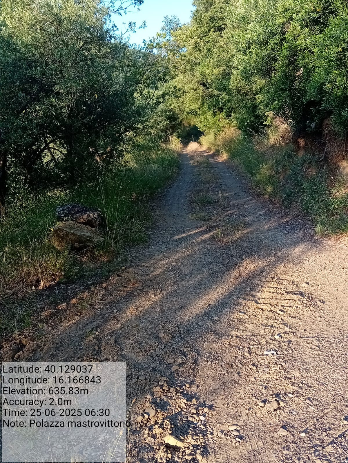 Galleria Fotografica Immagine