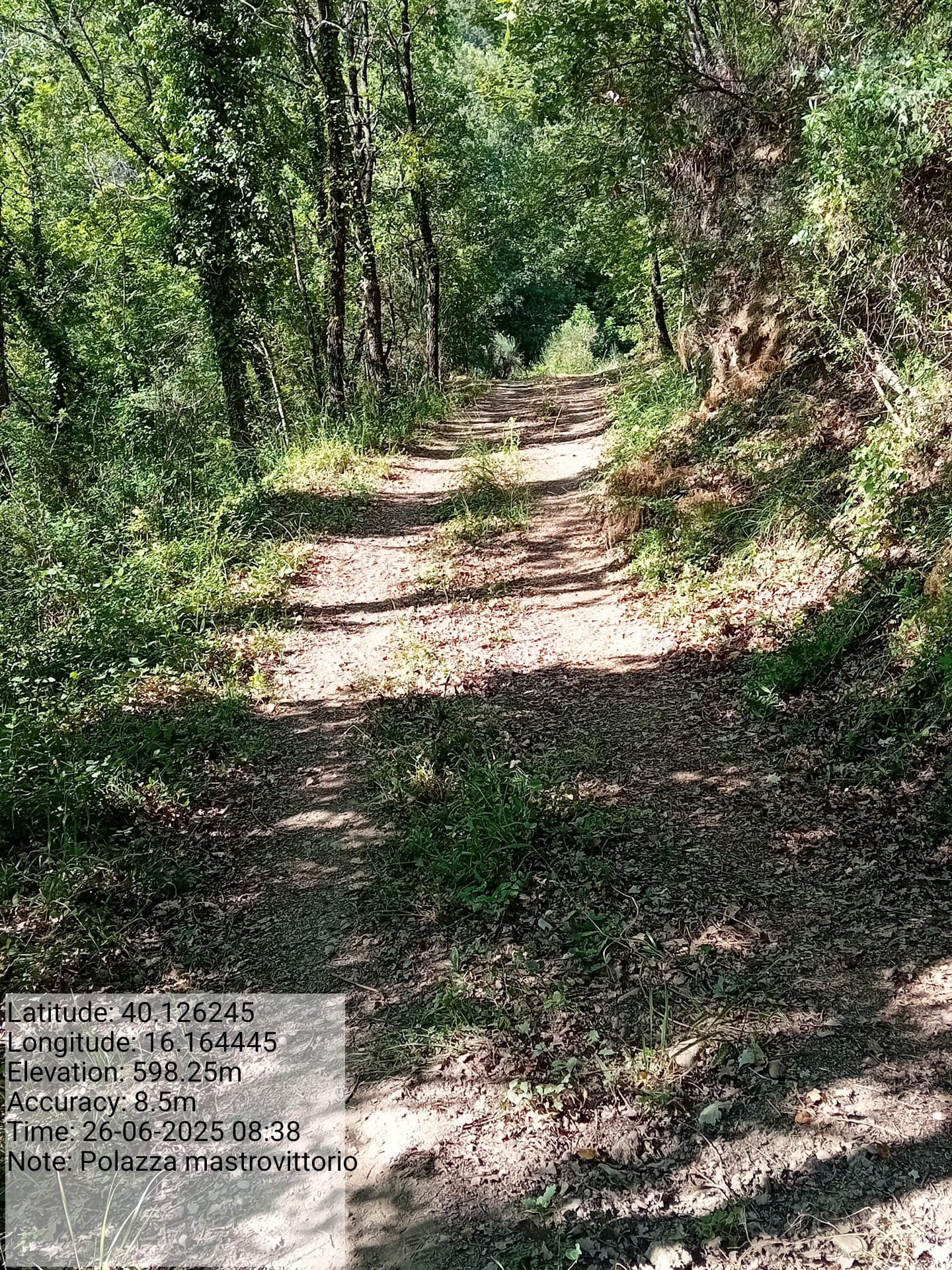 Galleria Fotografica Immagine