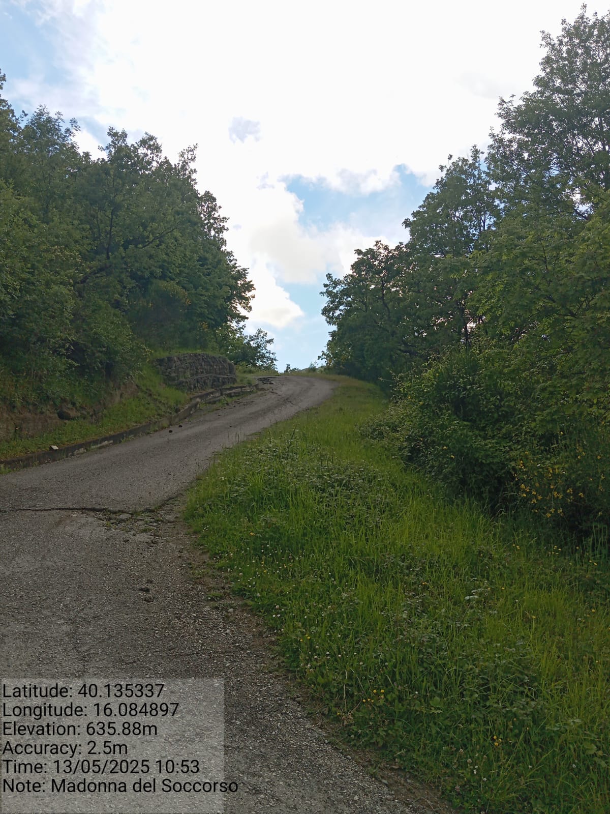 Galleria Fotografica Immagine