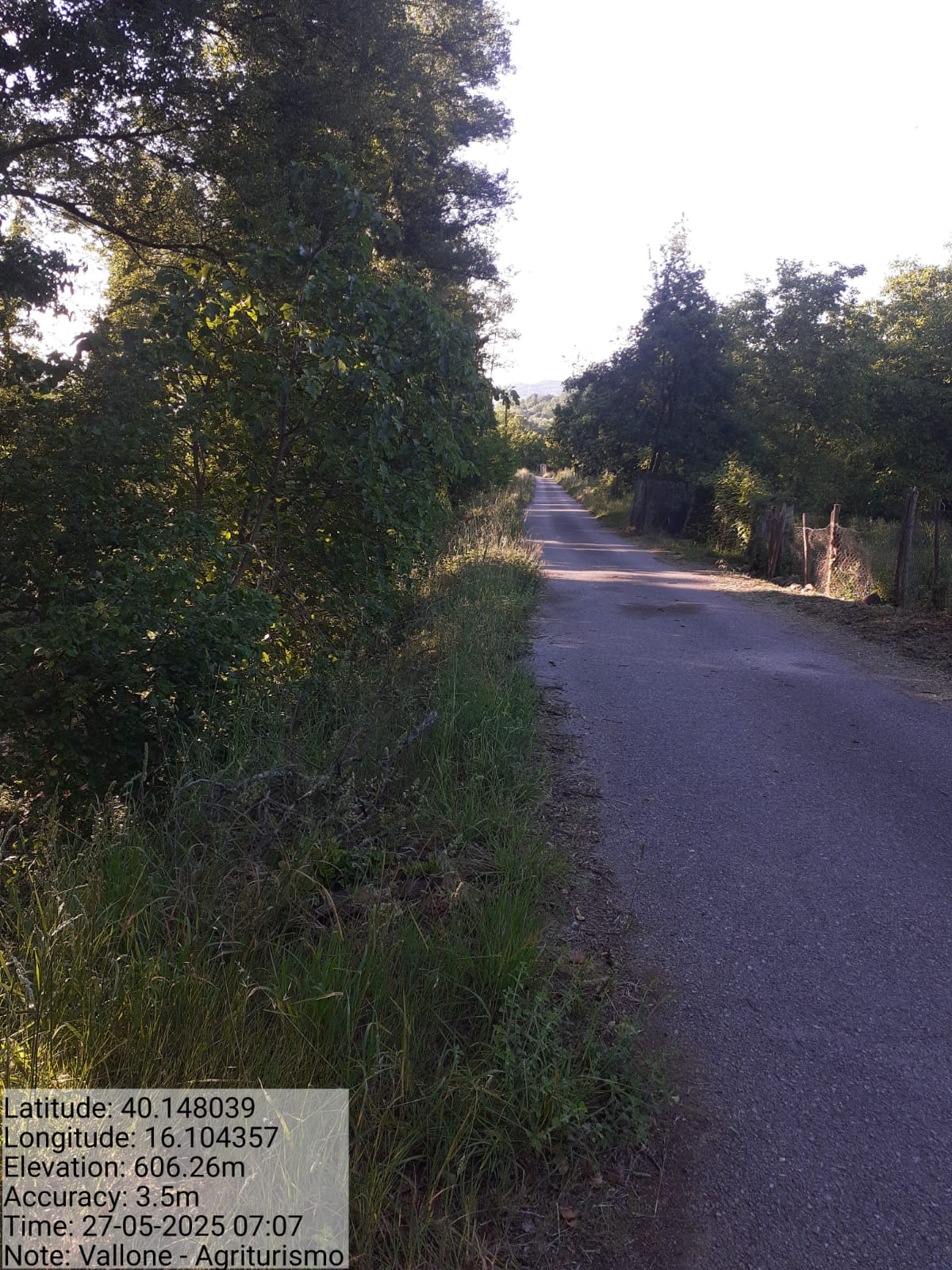 Galleria Fotografica Immagine