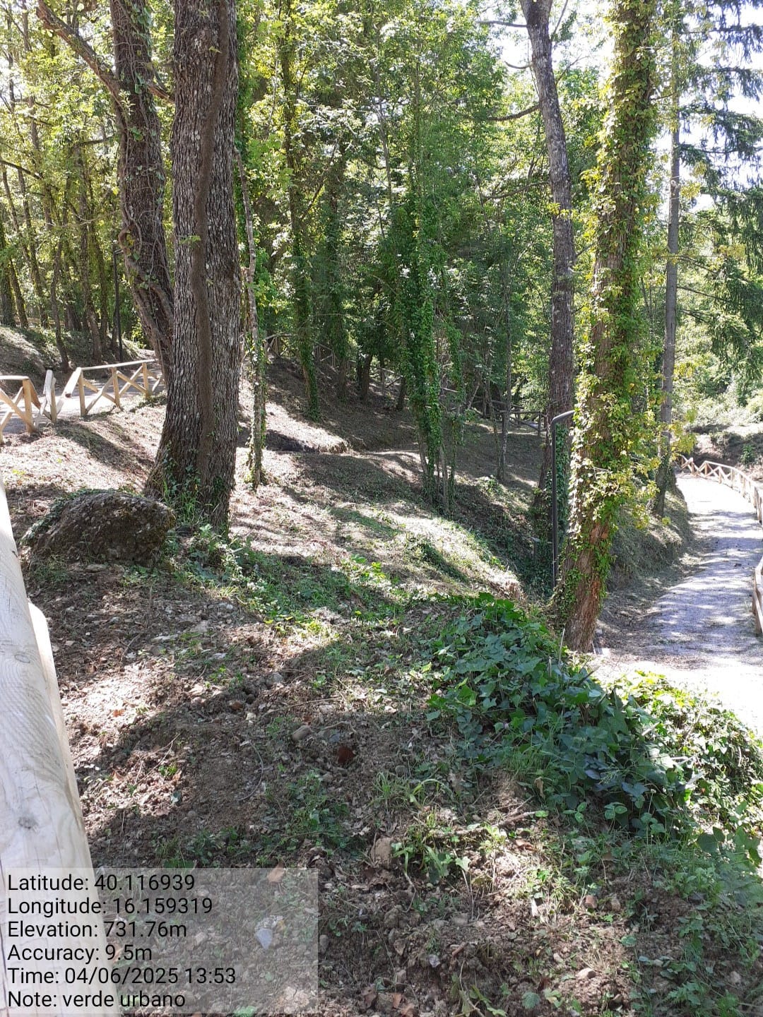 Galleria Fotografica Immagine