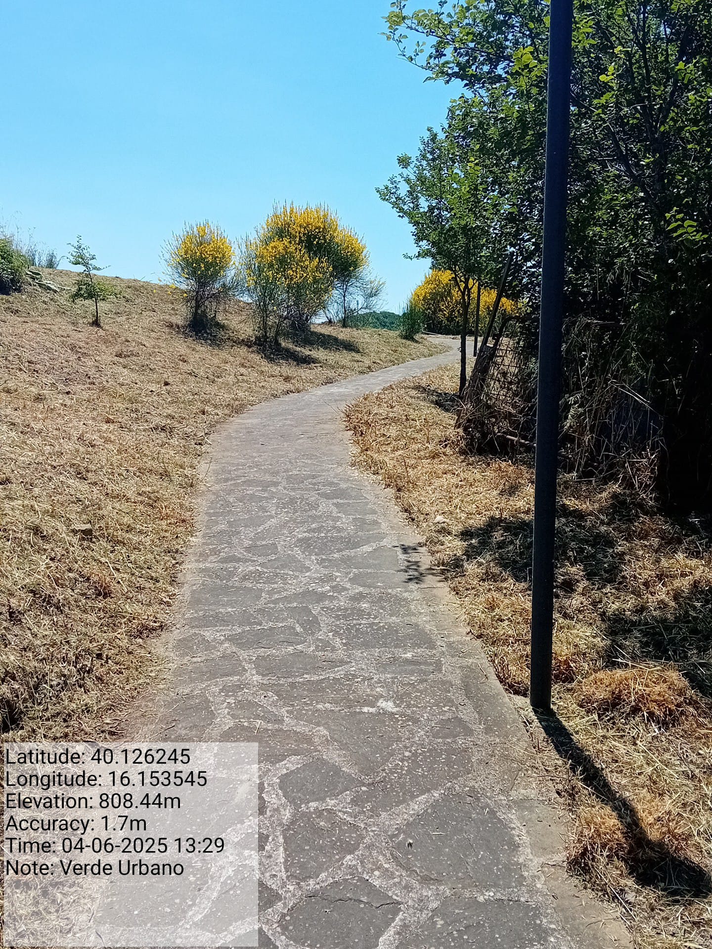 Galleria Fotografica Immagine