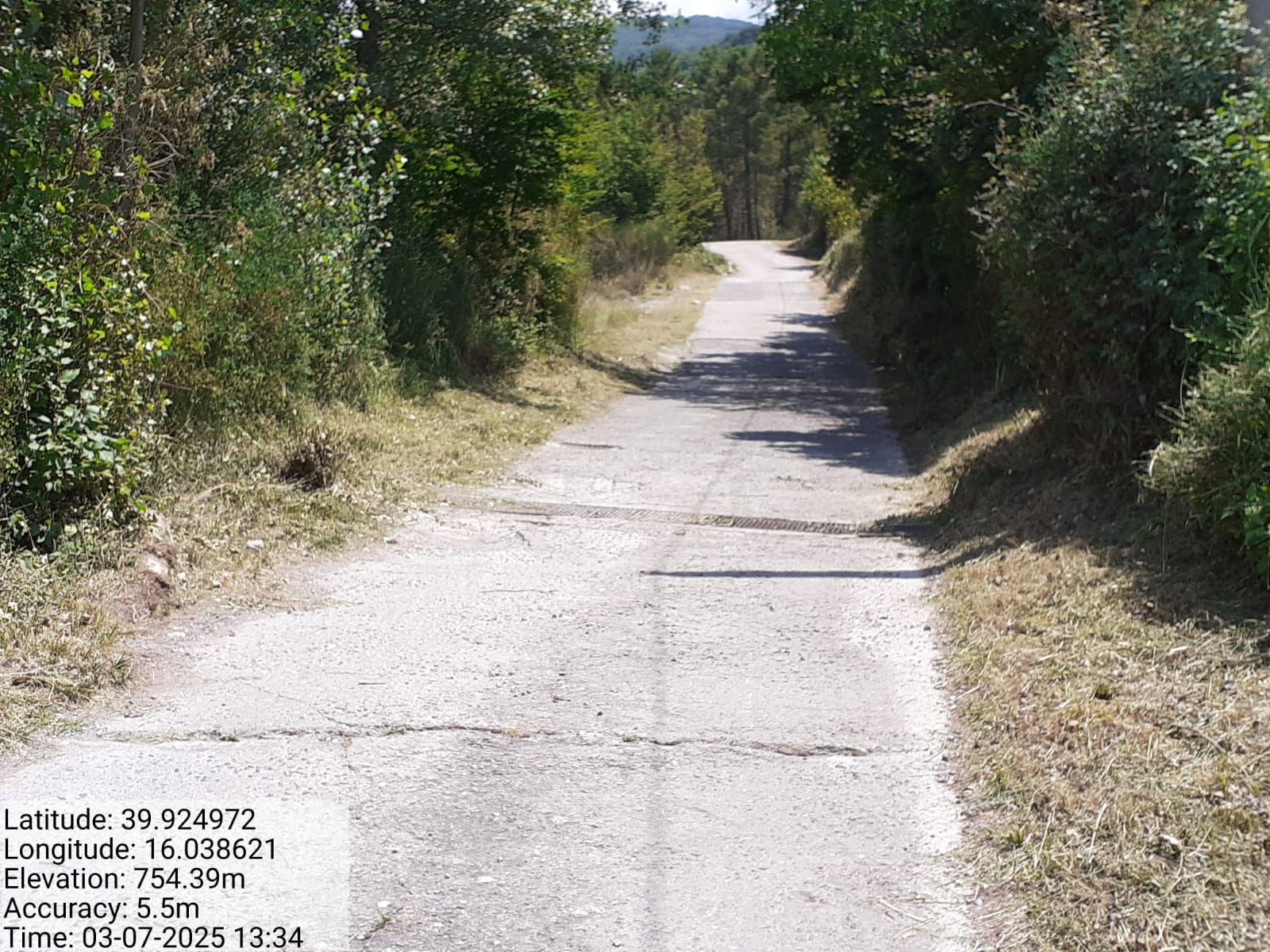 Galleria Fotografica Immagine