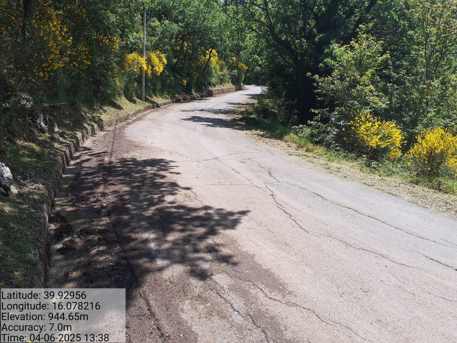 Galleria Fotografica Immagine