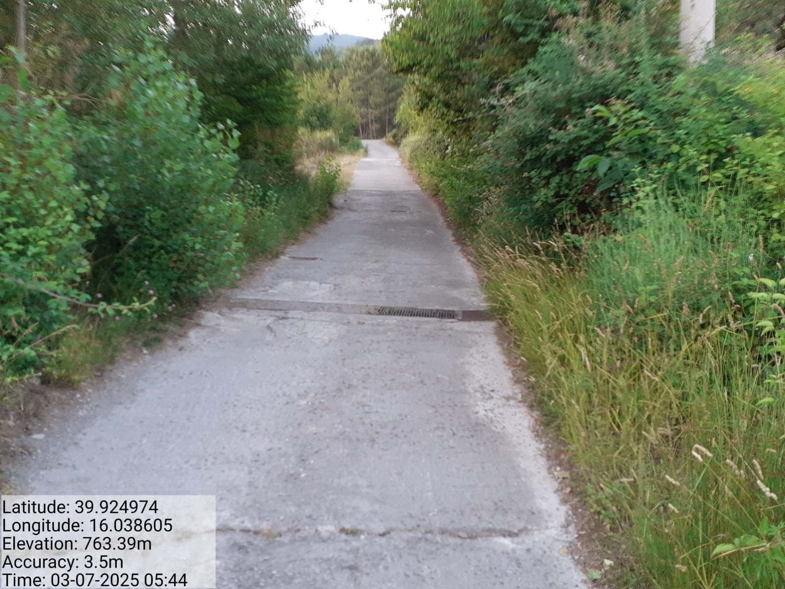 Galleria Fotografica Immagine