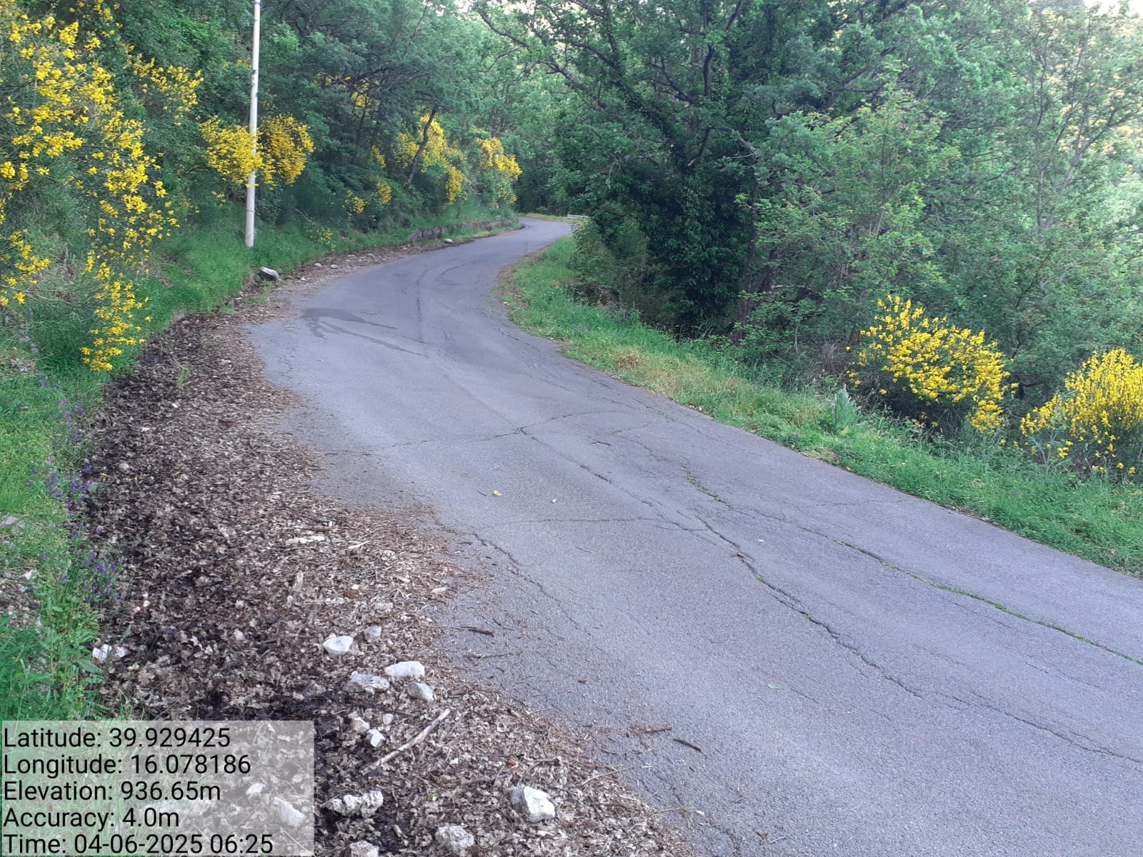 Galleria Fotografica Immagine