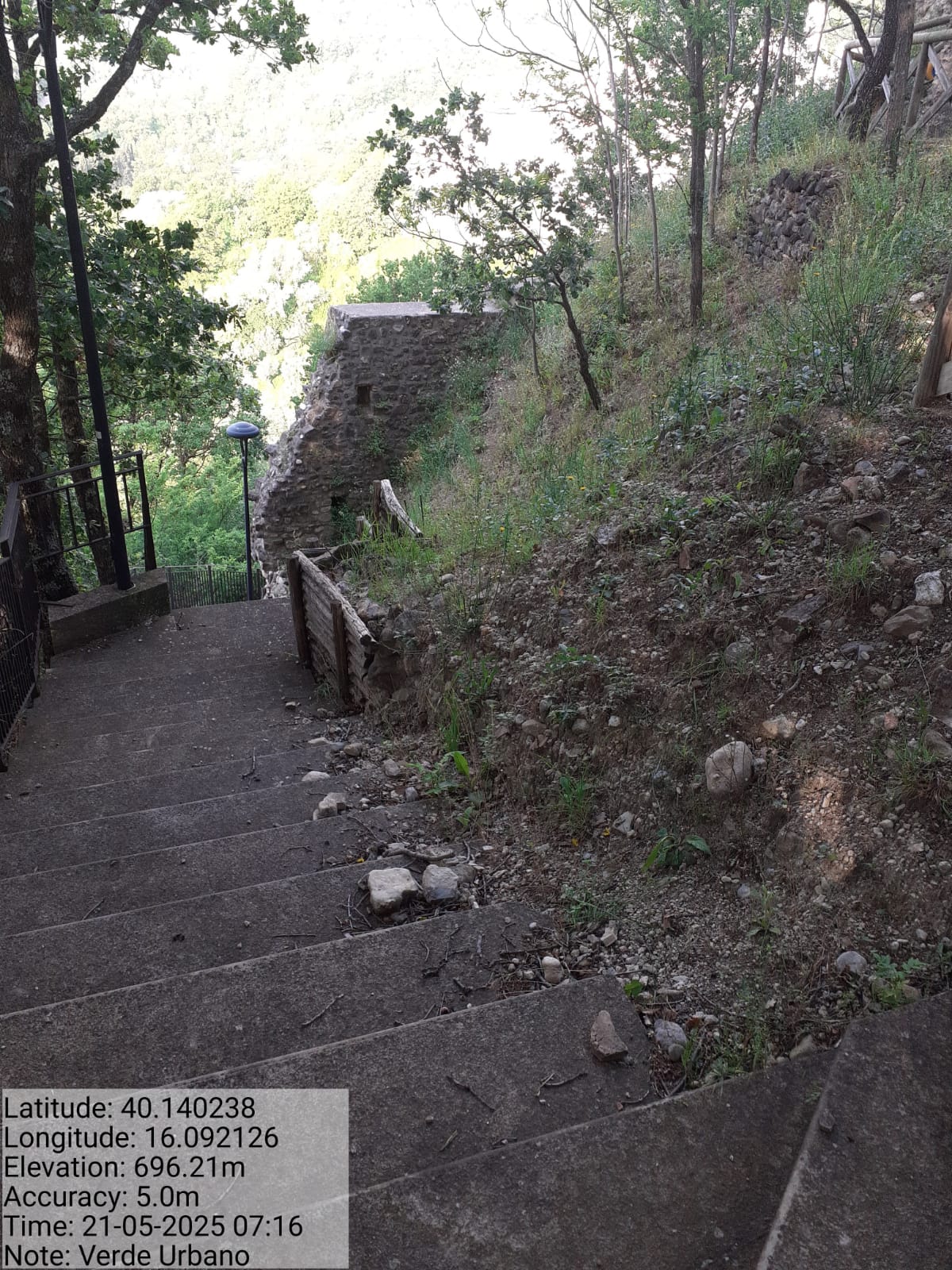 Galleria Fotografica Immagine