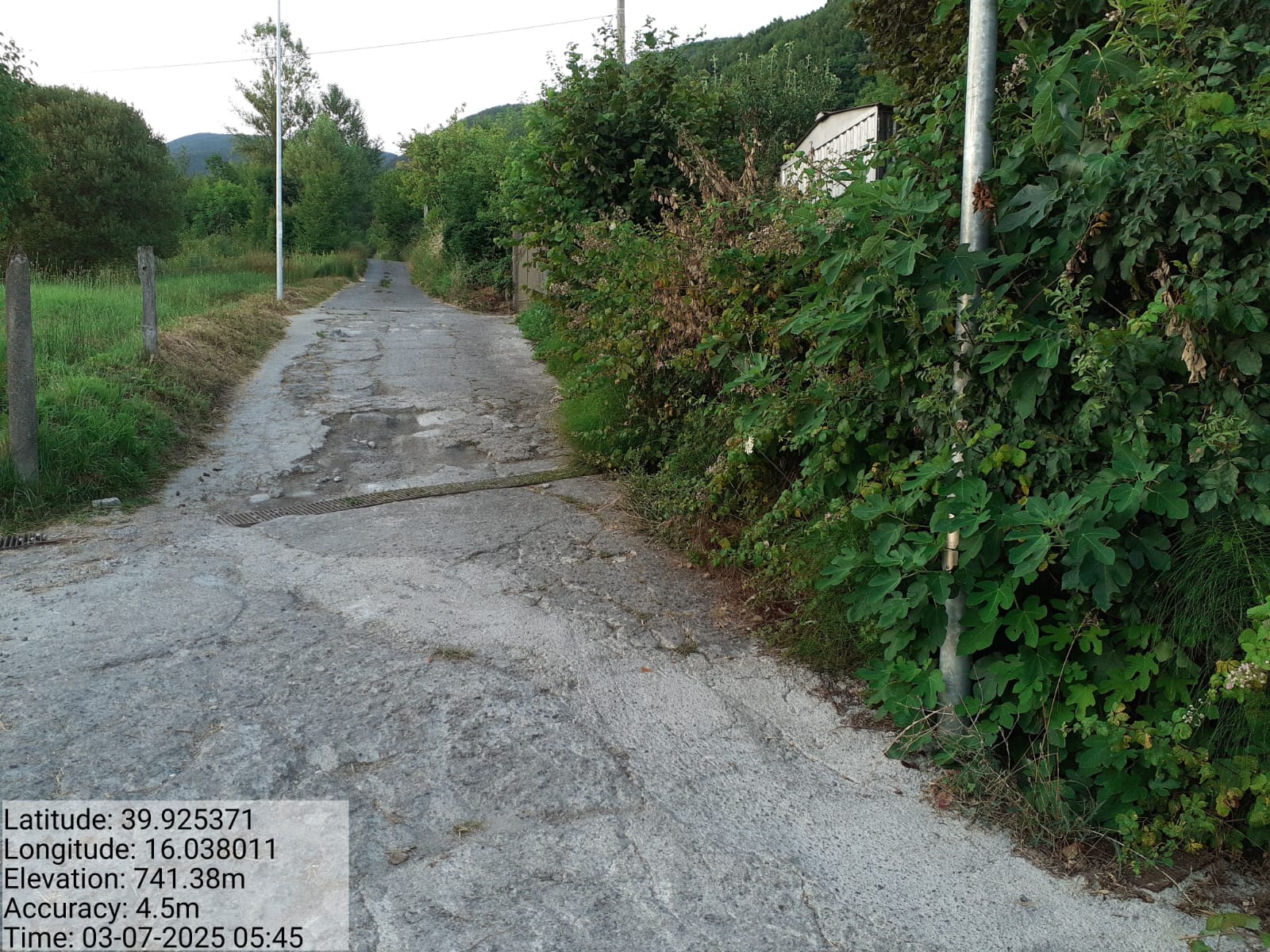 Galleria Fotografica Immagine