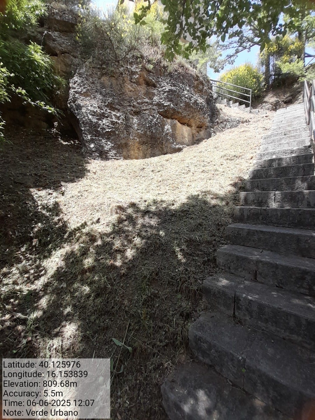 Galleria Fotografica Immagine