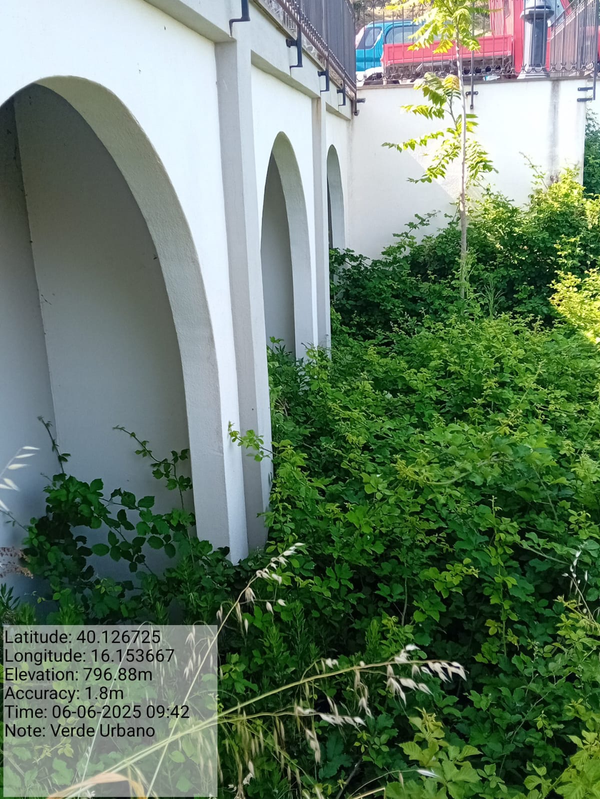 Galleria Fotografica Immagine