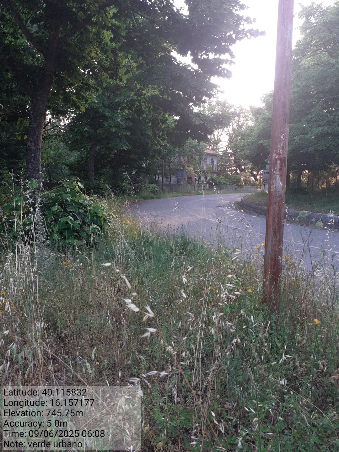 Galleria Fotografica Immagine