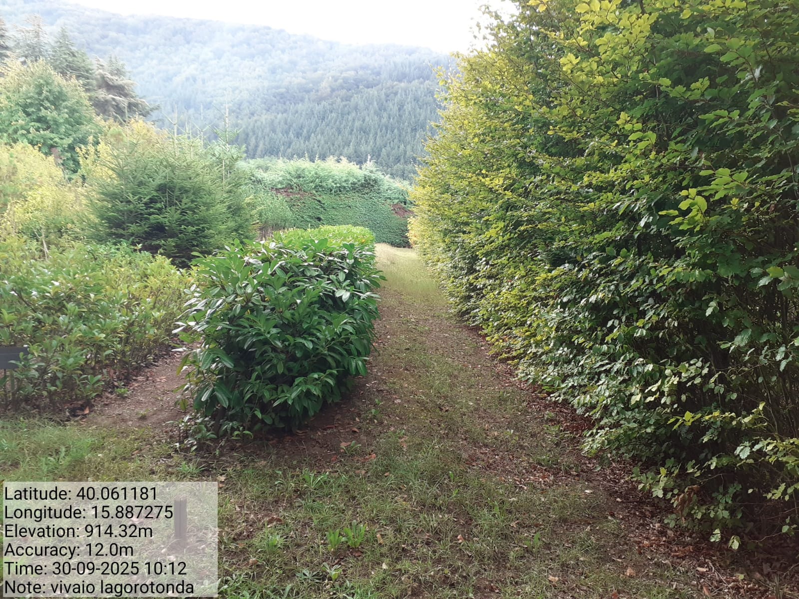 Galleria Fotografica Immagine