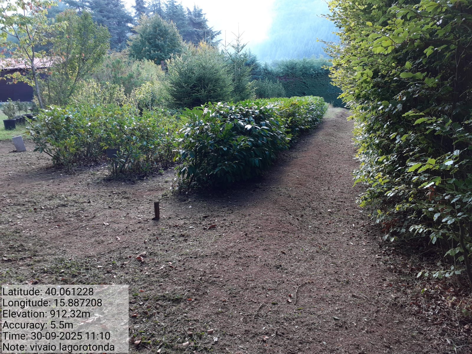 Galleria Fotografica Immagine