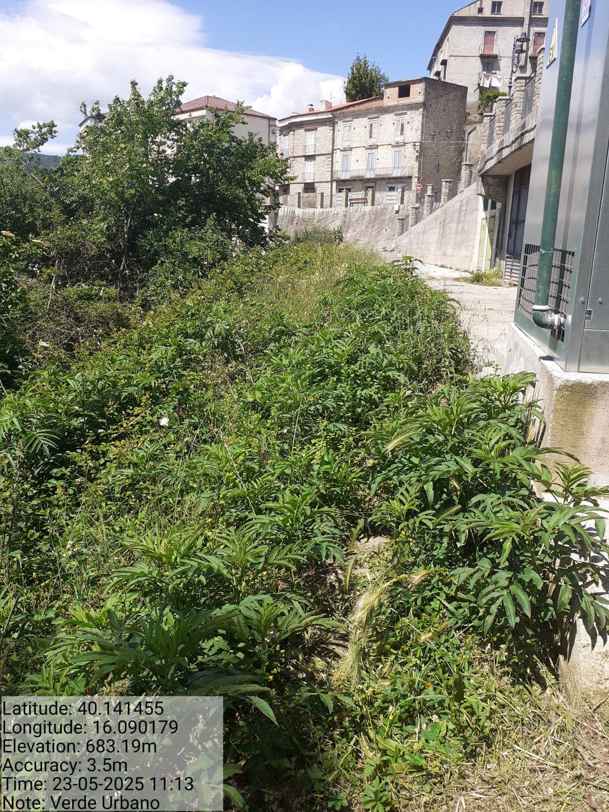 Galleria Fotografica Immagine