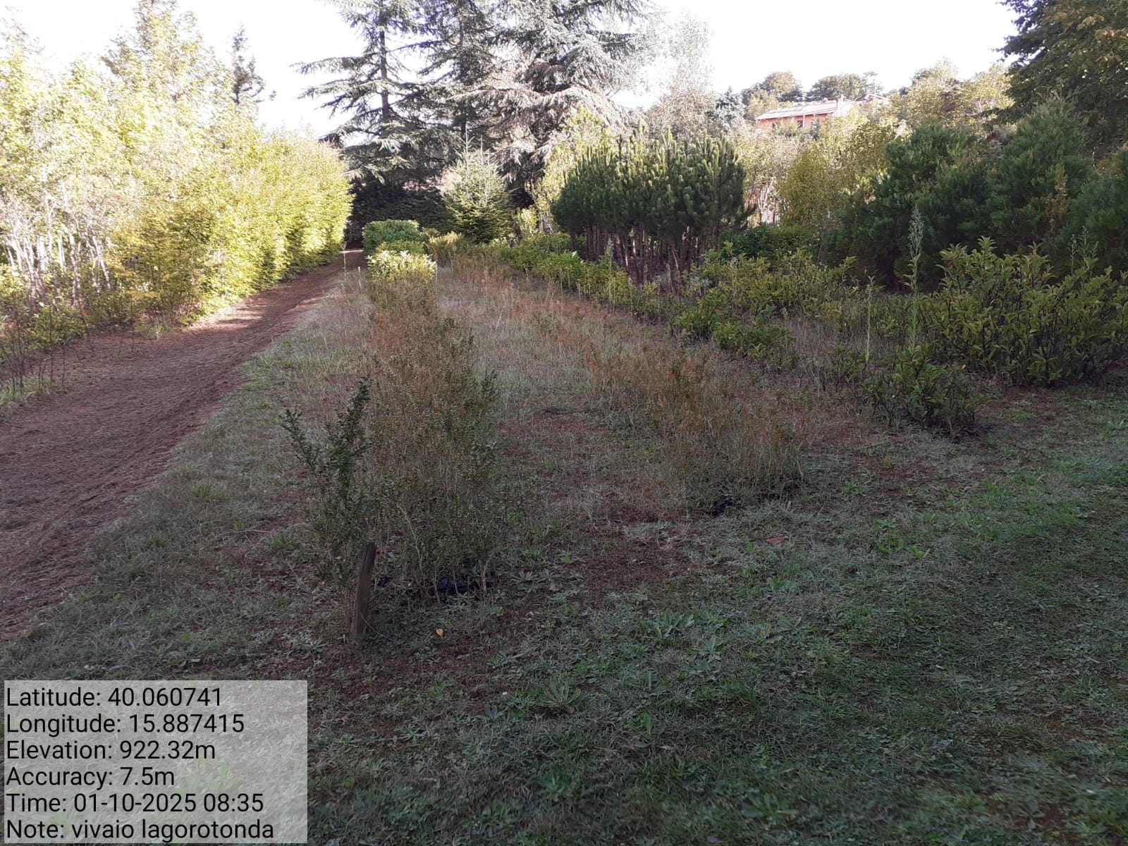 Galleria Fotografica Immagine