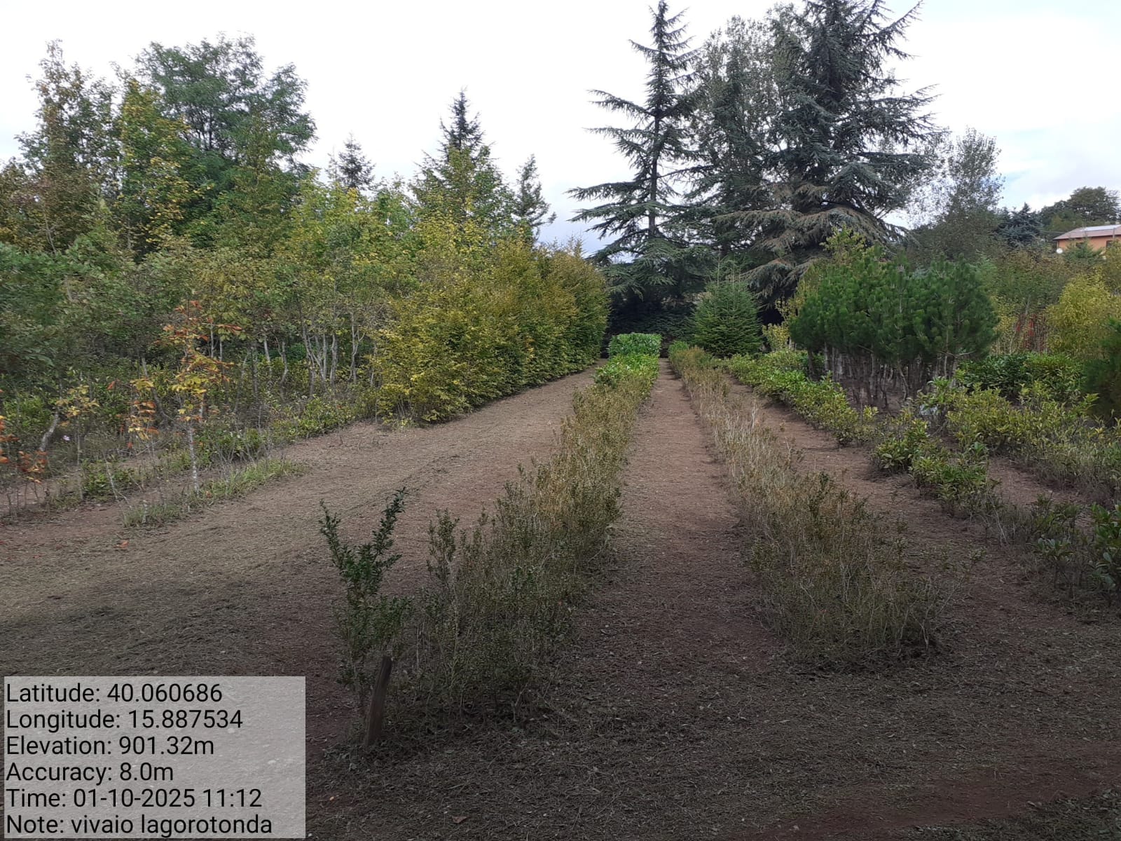 Galleria Fotografica Immagine