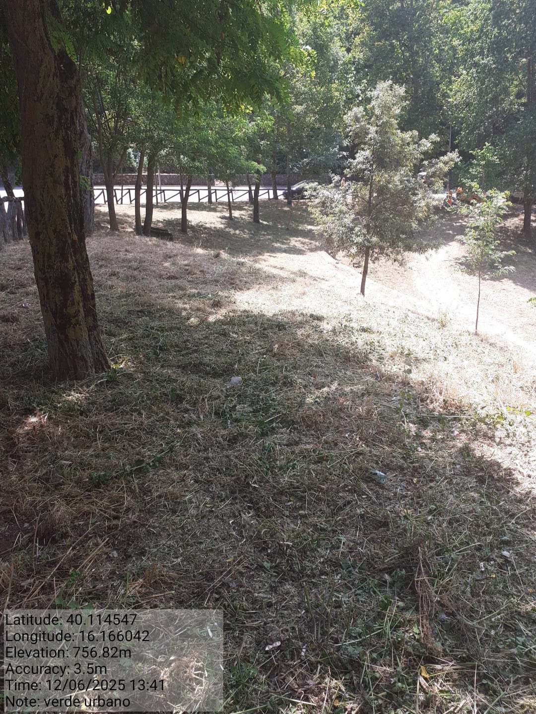 Galleria Fotografica Immagine