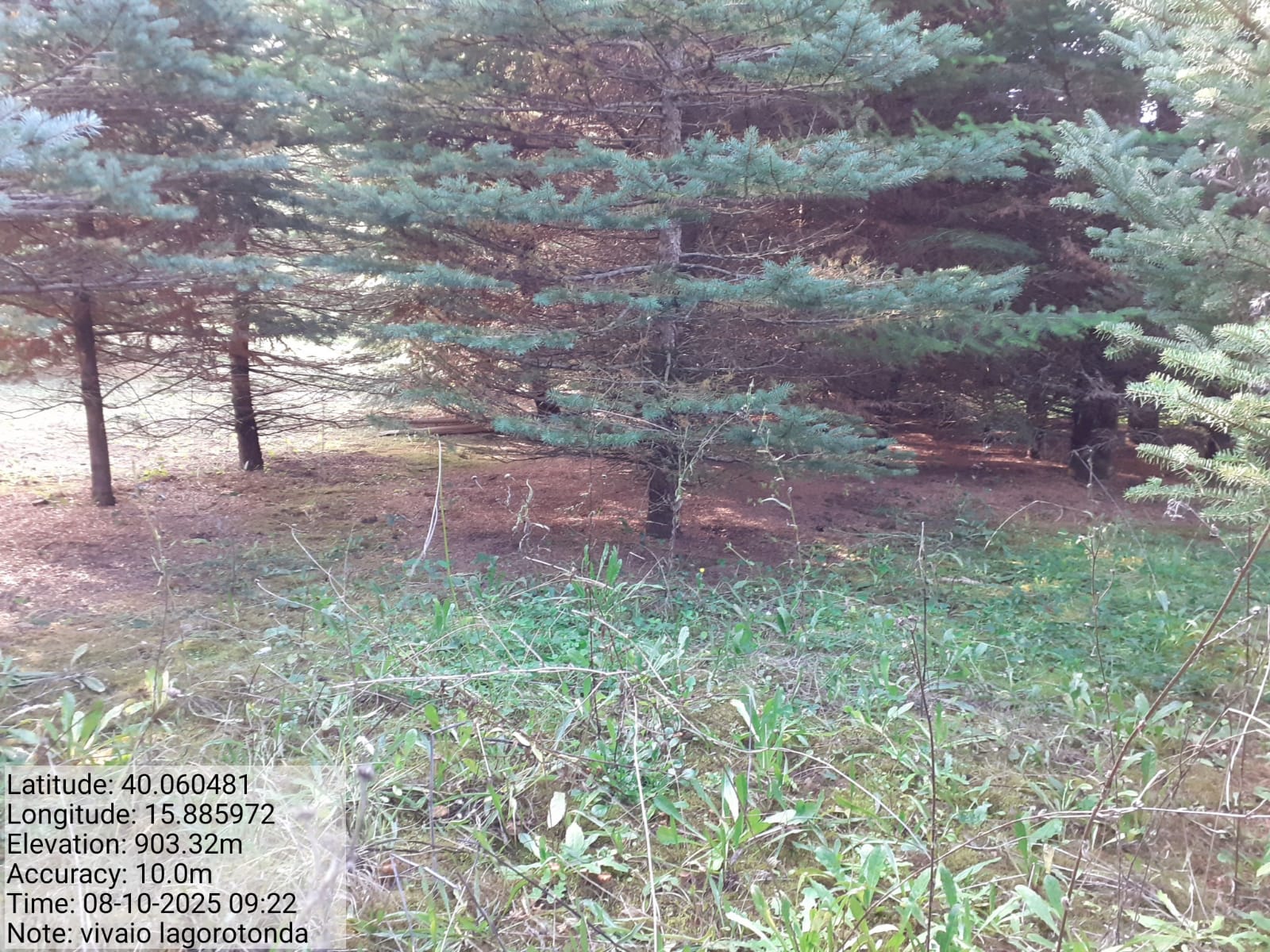 Galleria Fotografica Immagine