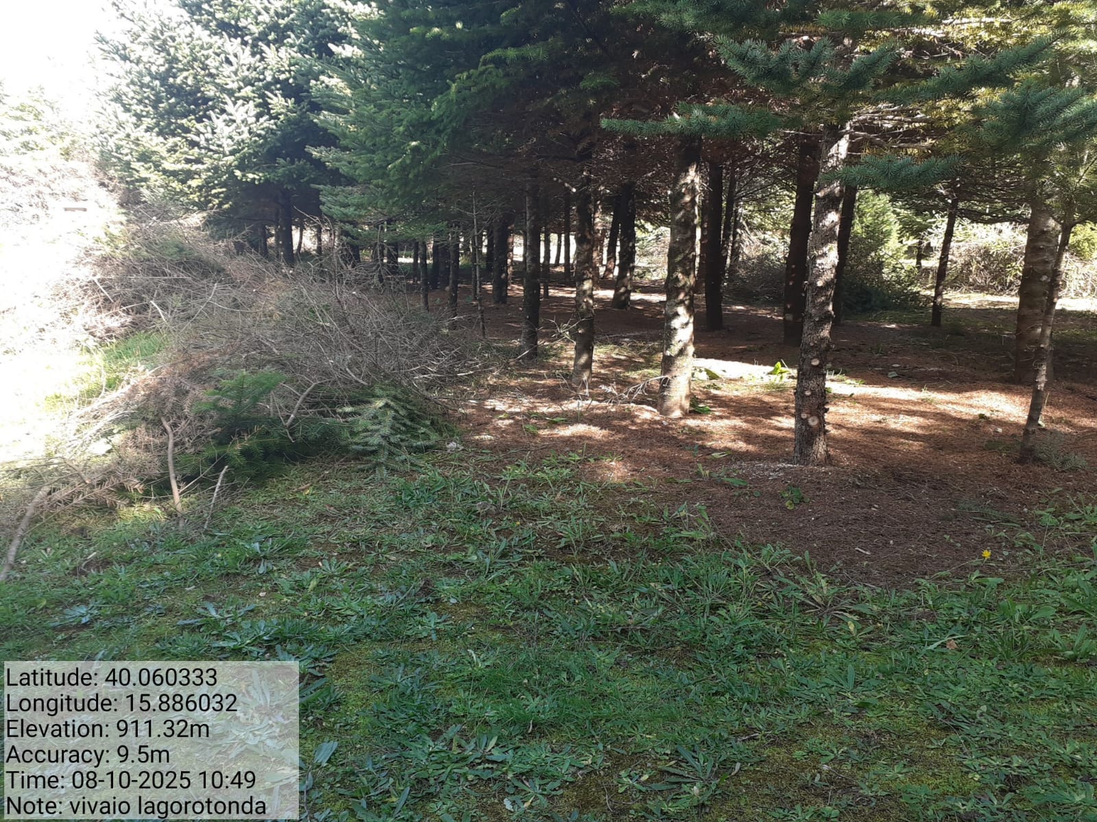 Galleria Fotografica Immagine