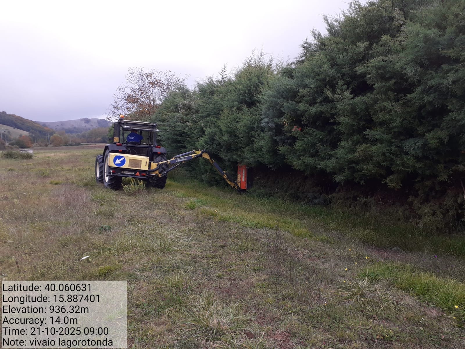 Galleria Fotografica Immagine