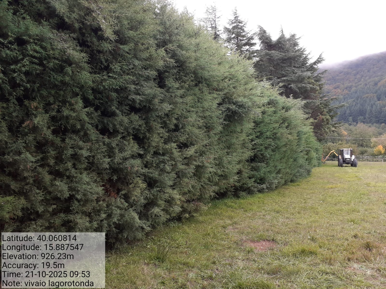 Galleria Fotografica Immagine