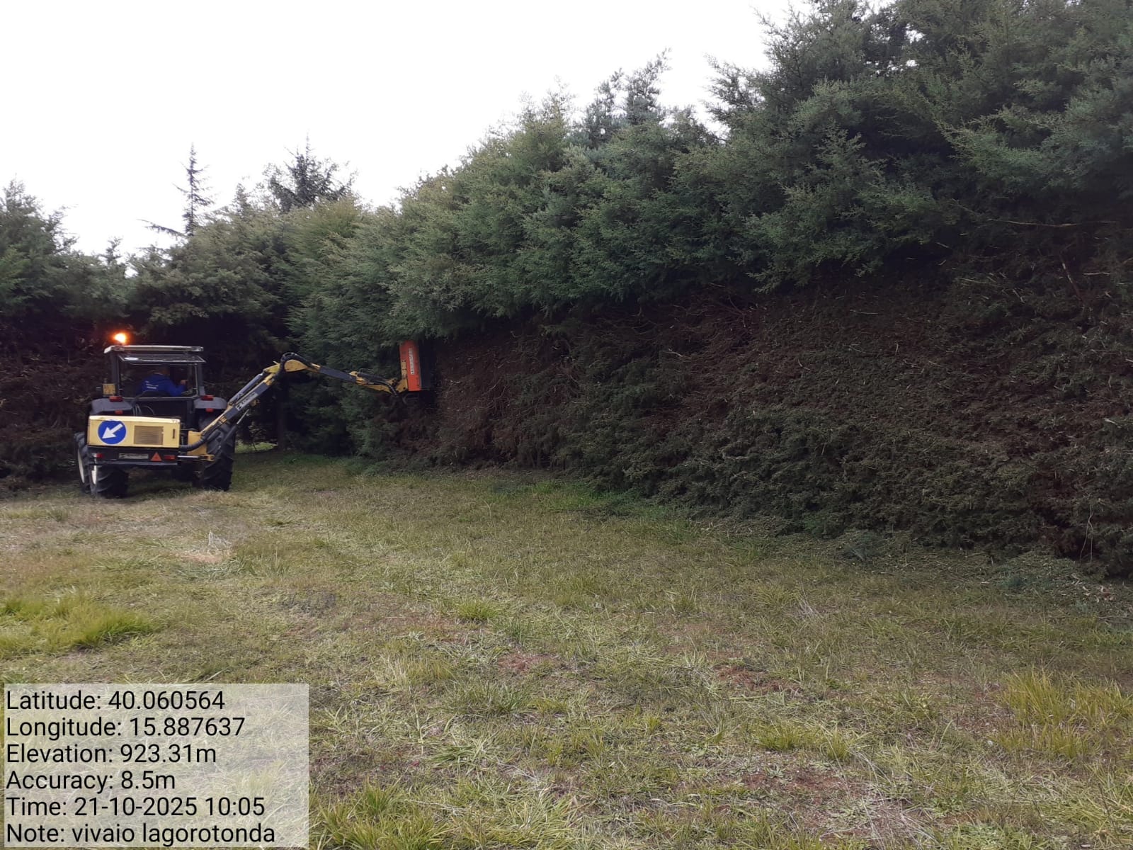 Galleria Fotografica Immagine