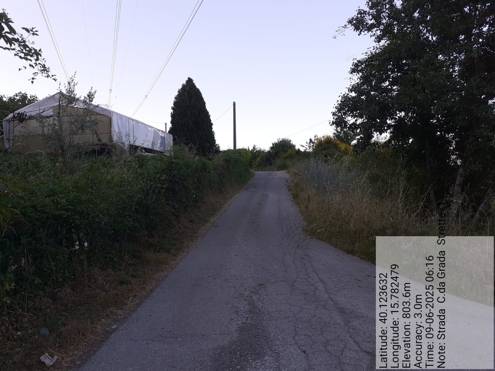 Galleria Fotografica Immagine