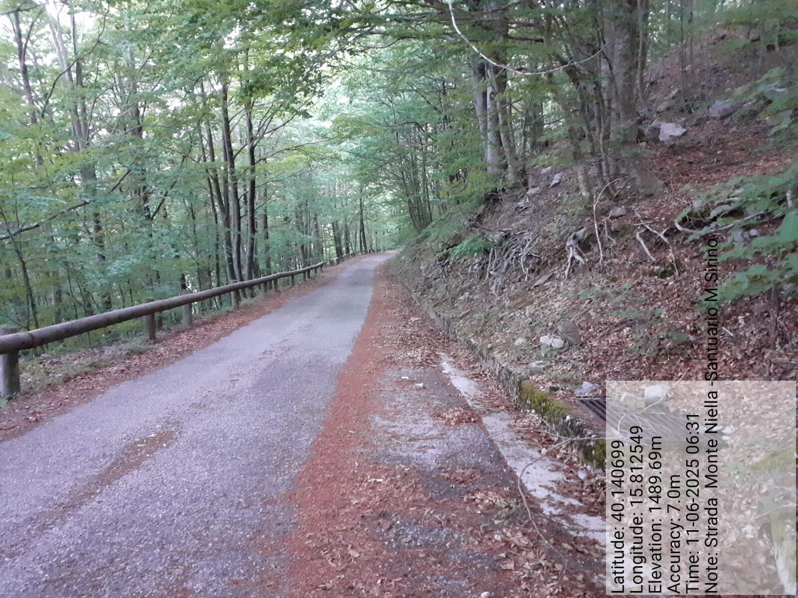 Galleria Fotografica Immagine