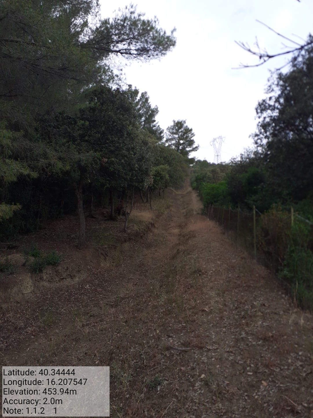 Galleria Fotografica Immagine