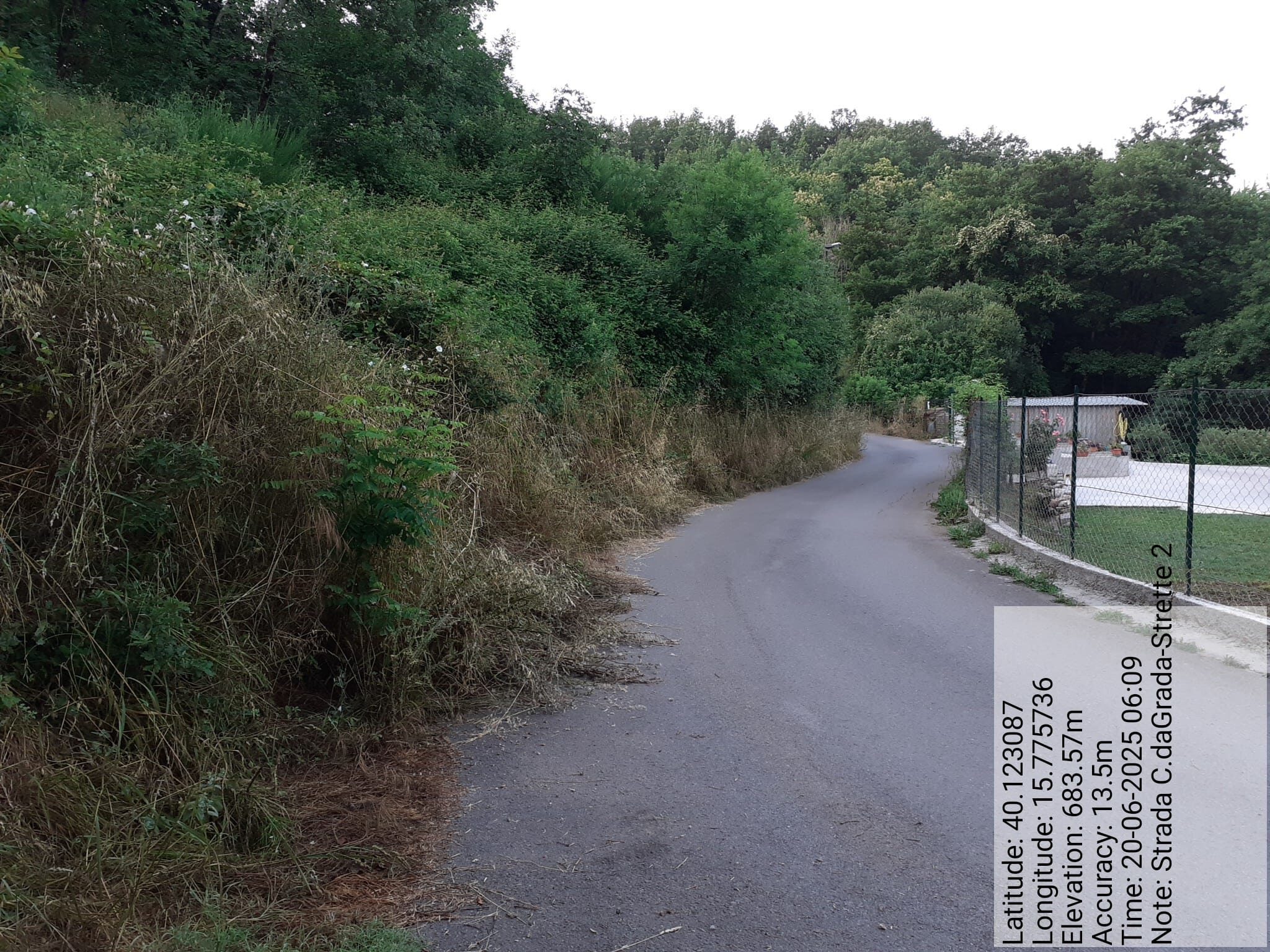 Galleria Fotografica Immagine