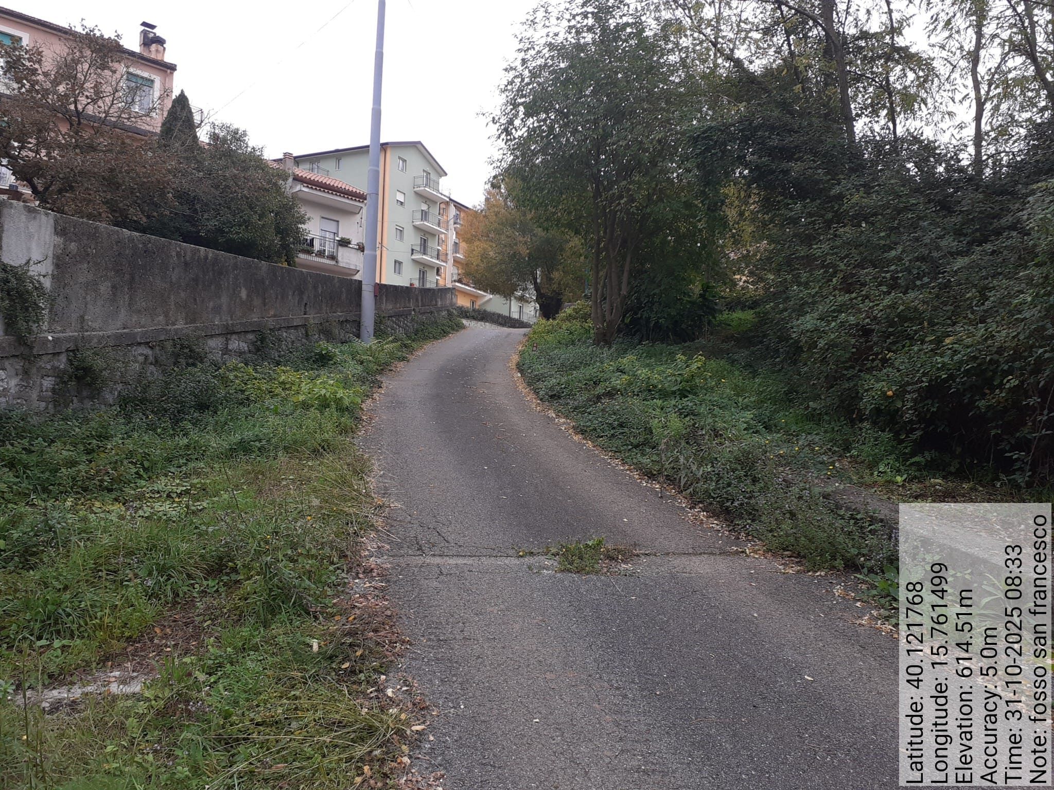 Galleria Fotografica Immagine