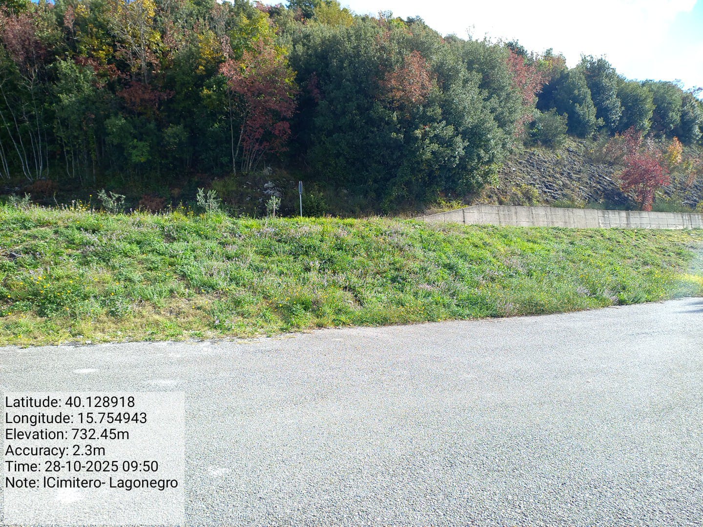 Galleria Fotografica Immagine