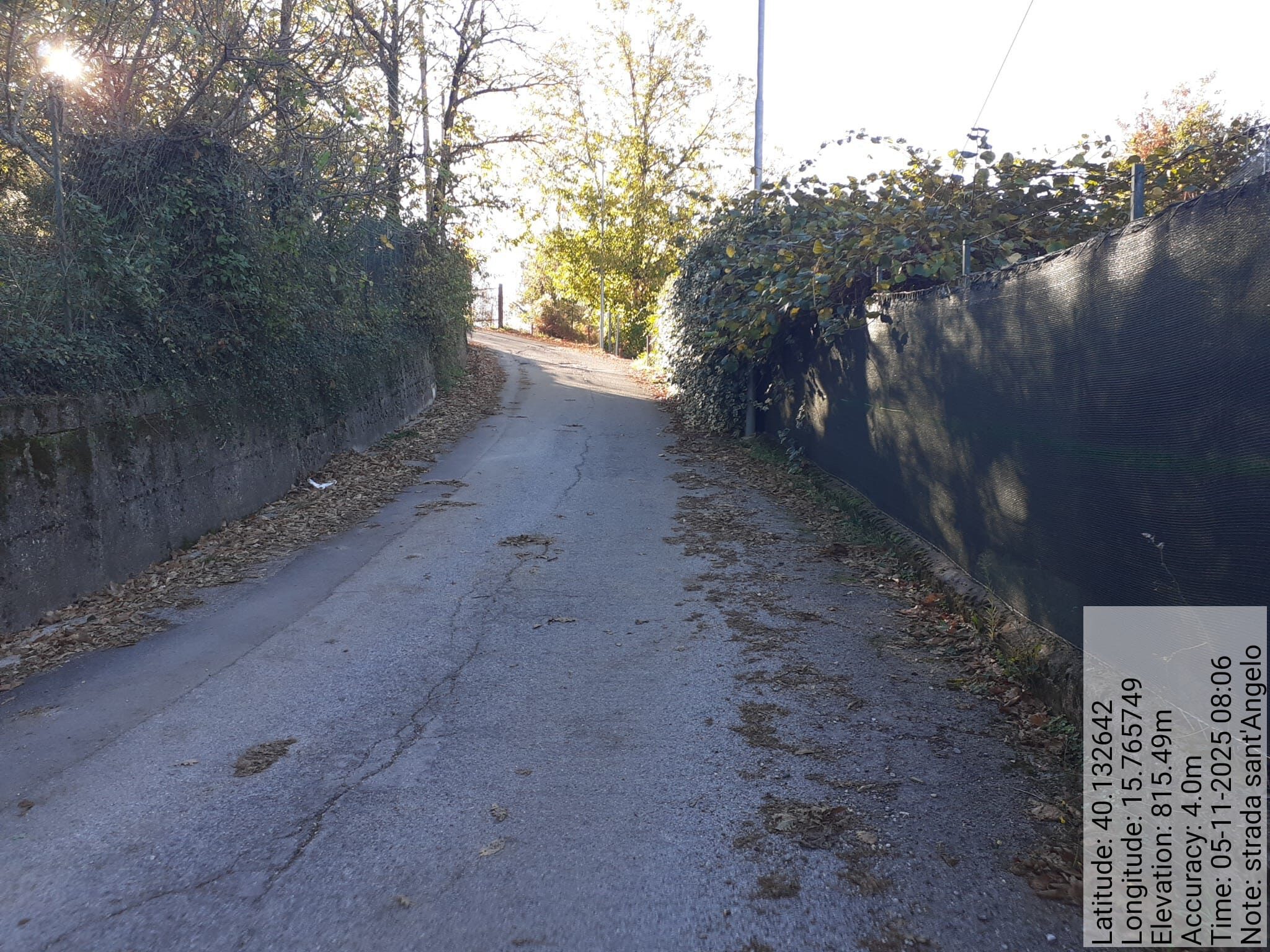 Galleria Fotografica Immagine