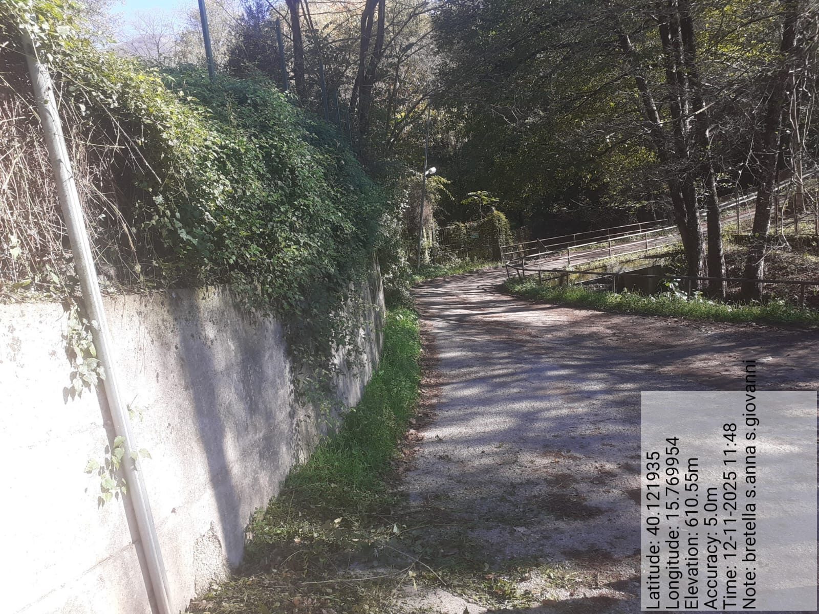 Galleria Fotografica Immagine