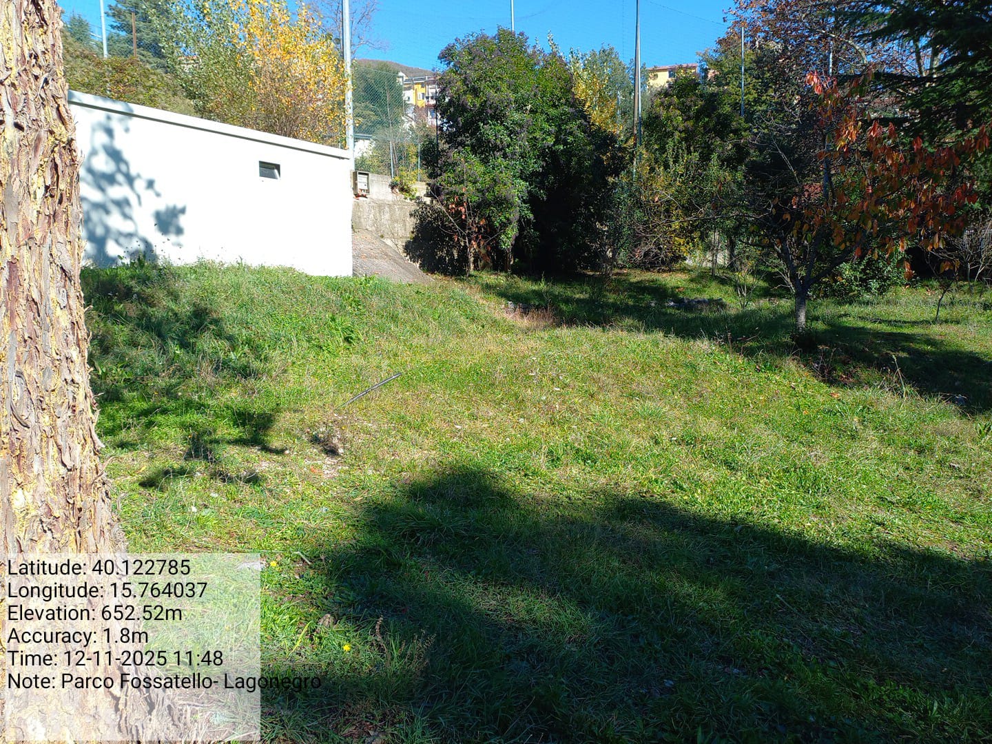 Galleria Fotografica Immagine