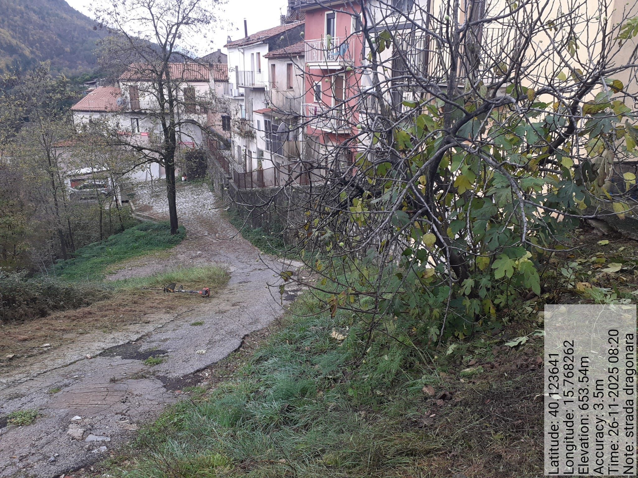 Galleria Fotografica Immagine