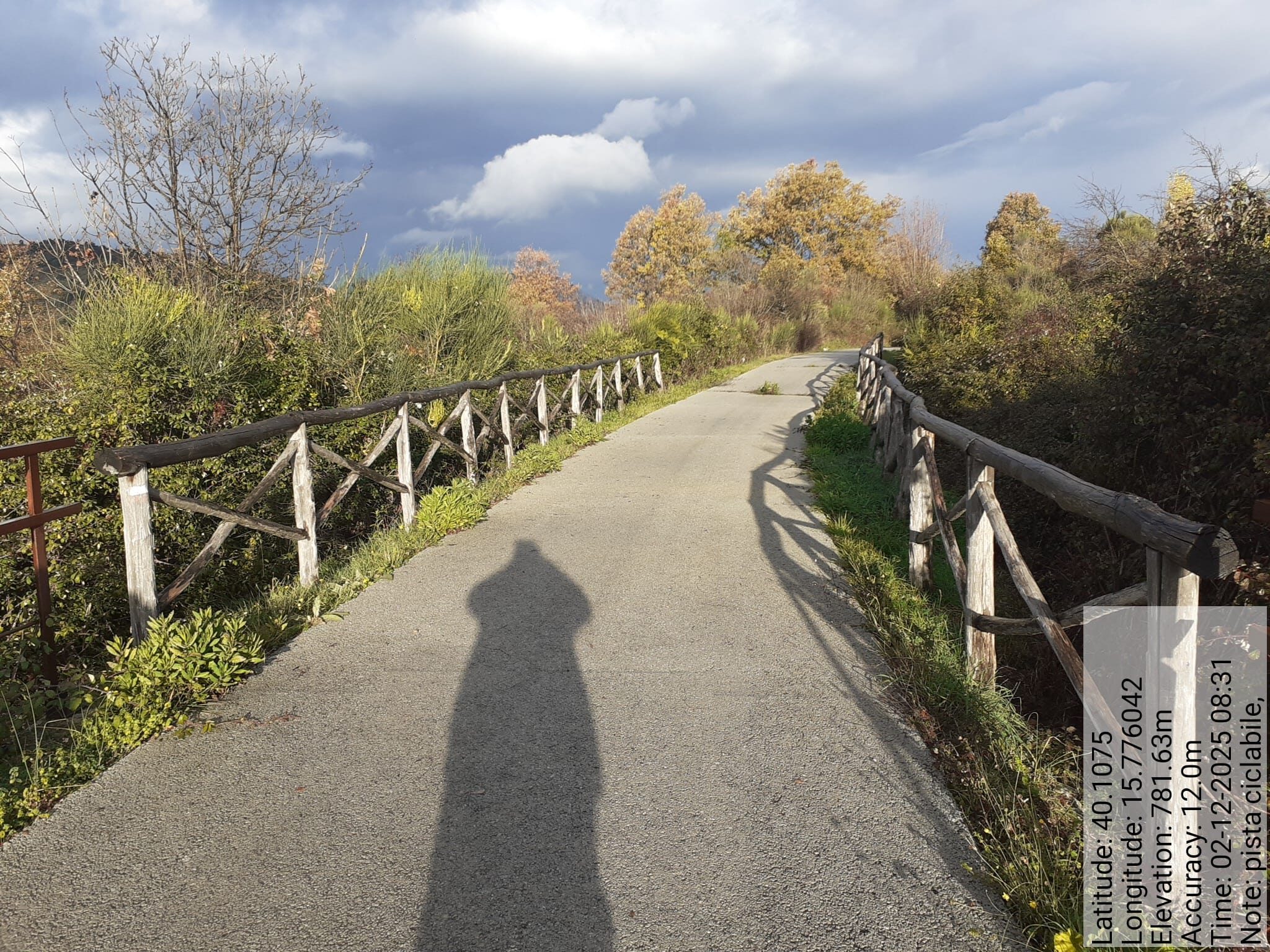 Galleria Fotografica Immagine