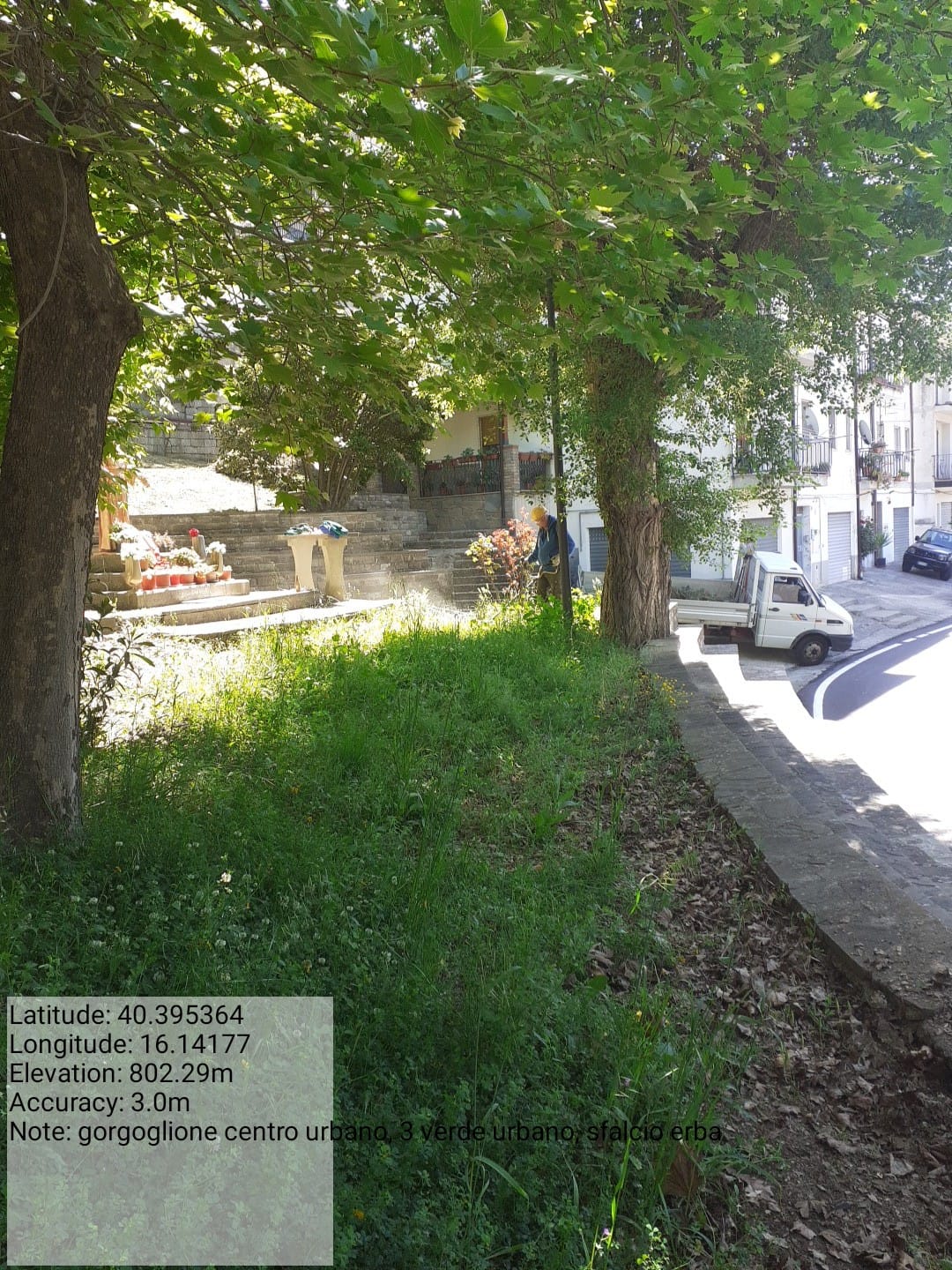 Galleria Fotografica Immagine