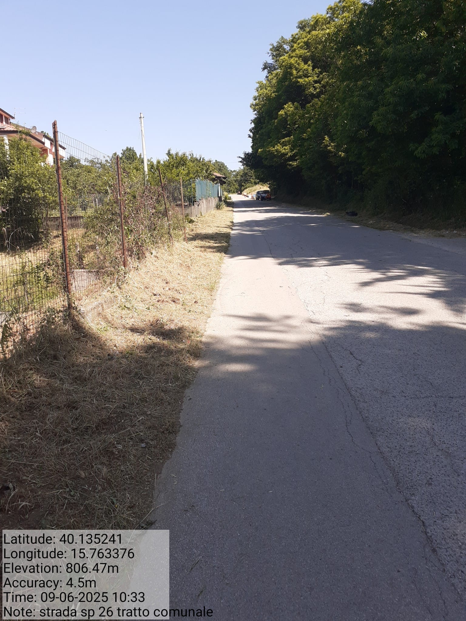 Galleria Fotografica Immagine