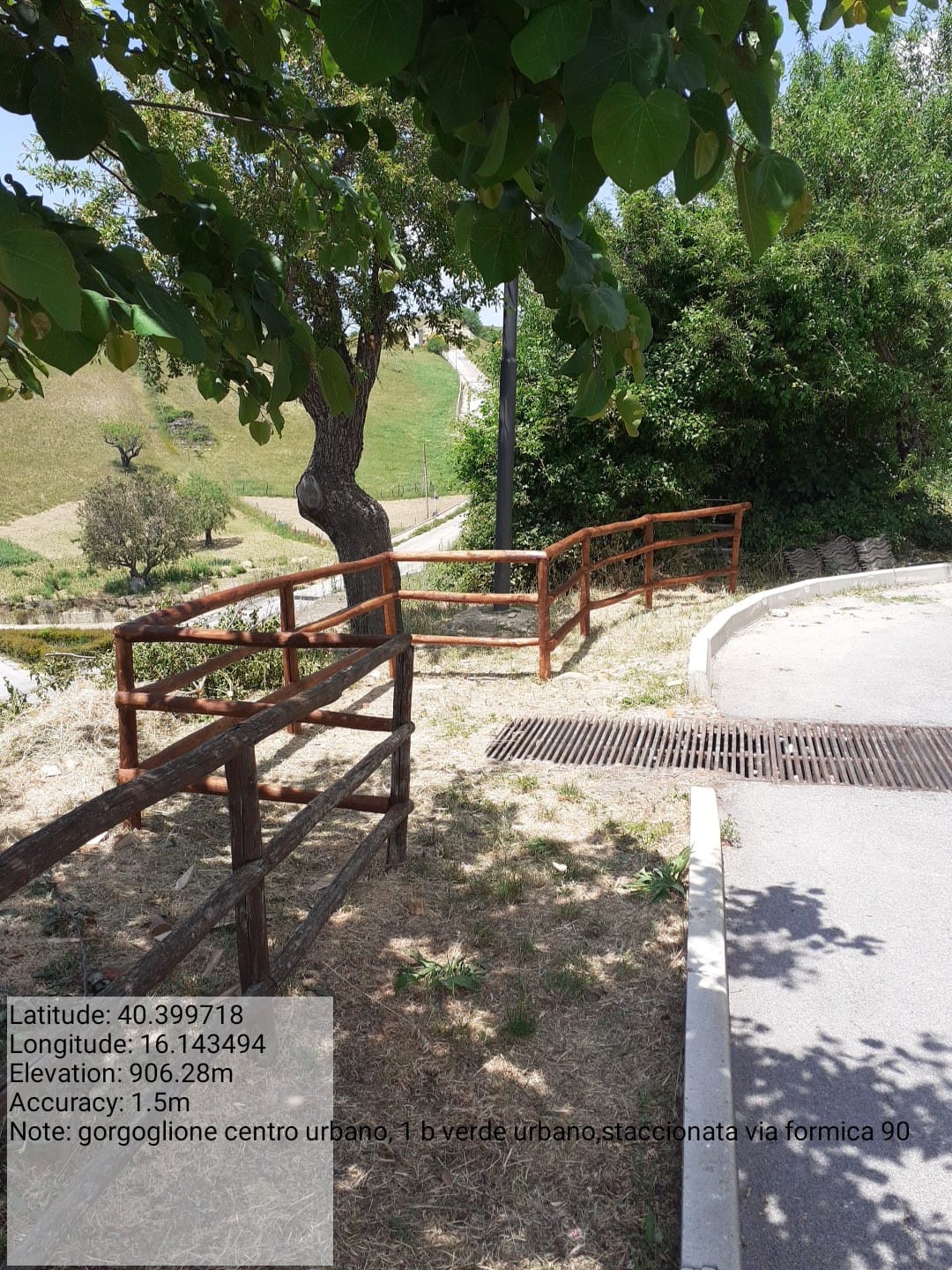 Galleria Fotografica Immagine