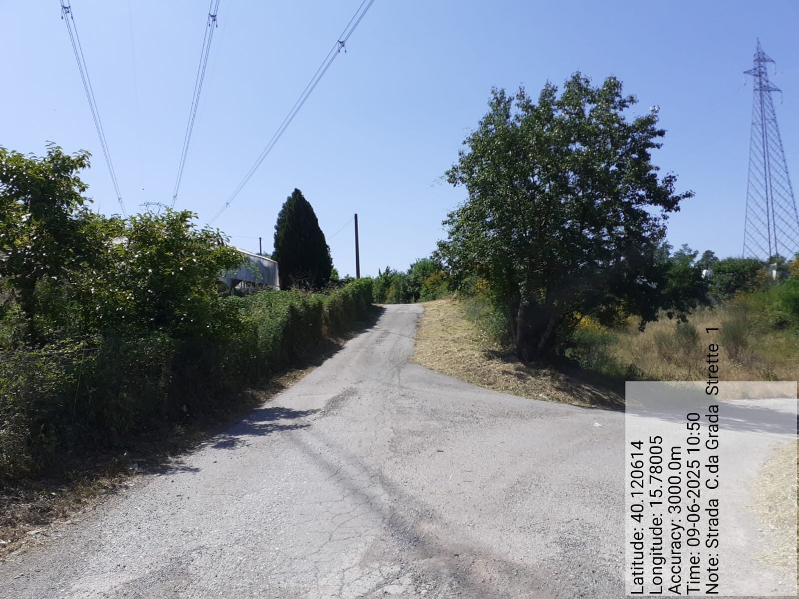 Galleria Fotografica Immagine