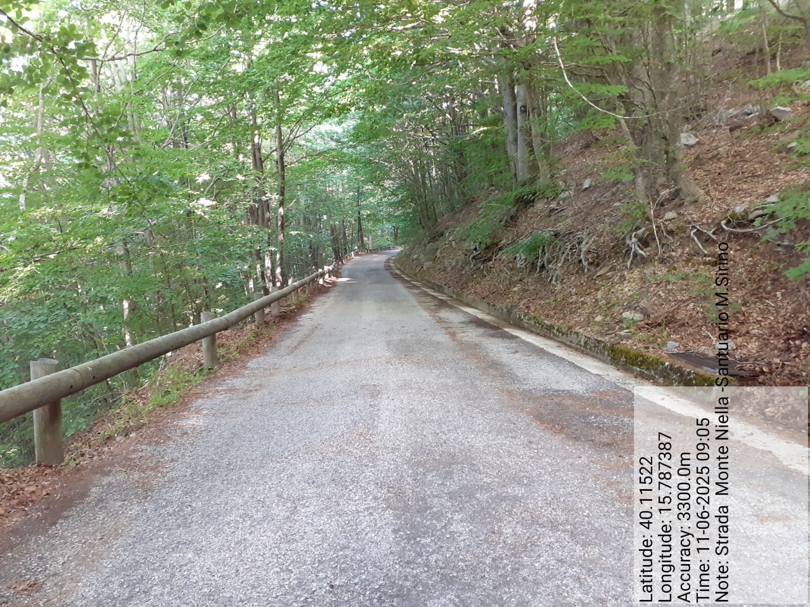 Galleria Fotografica Immagine