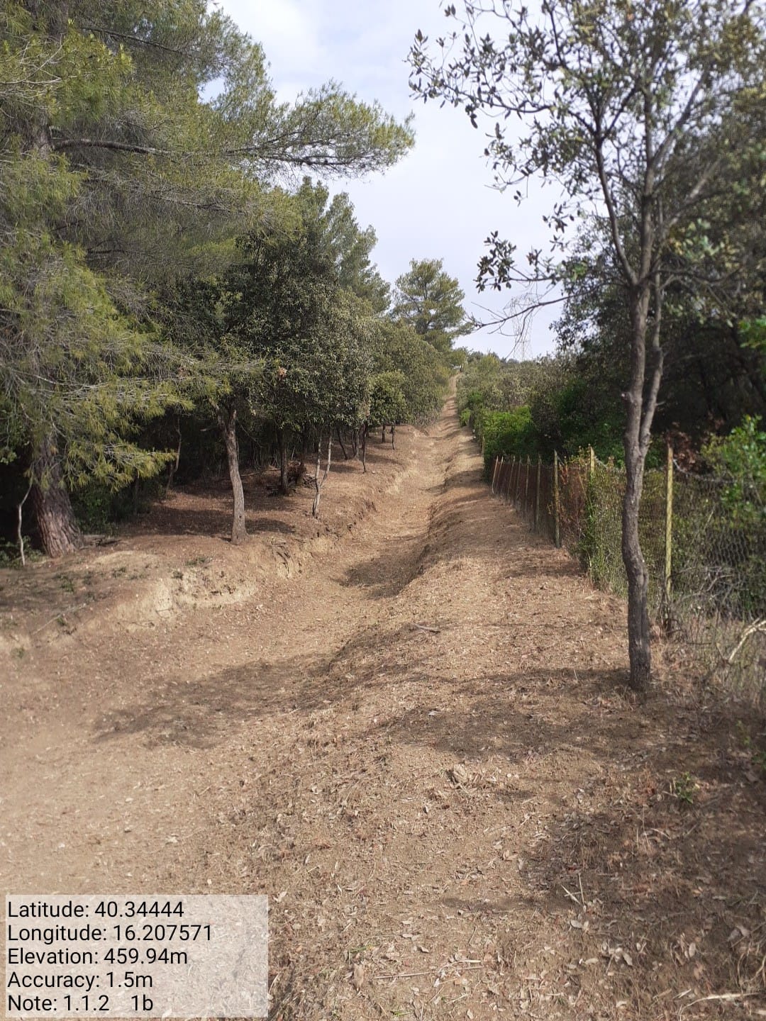 Galleria Fotografica Immagine