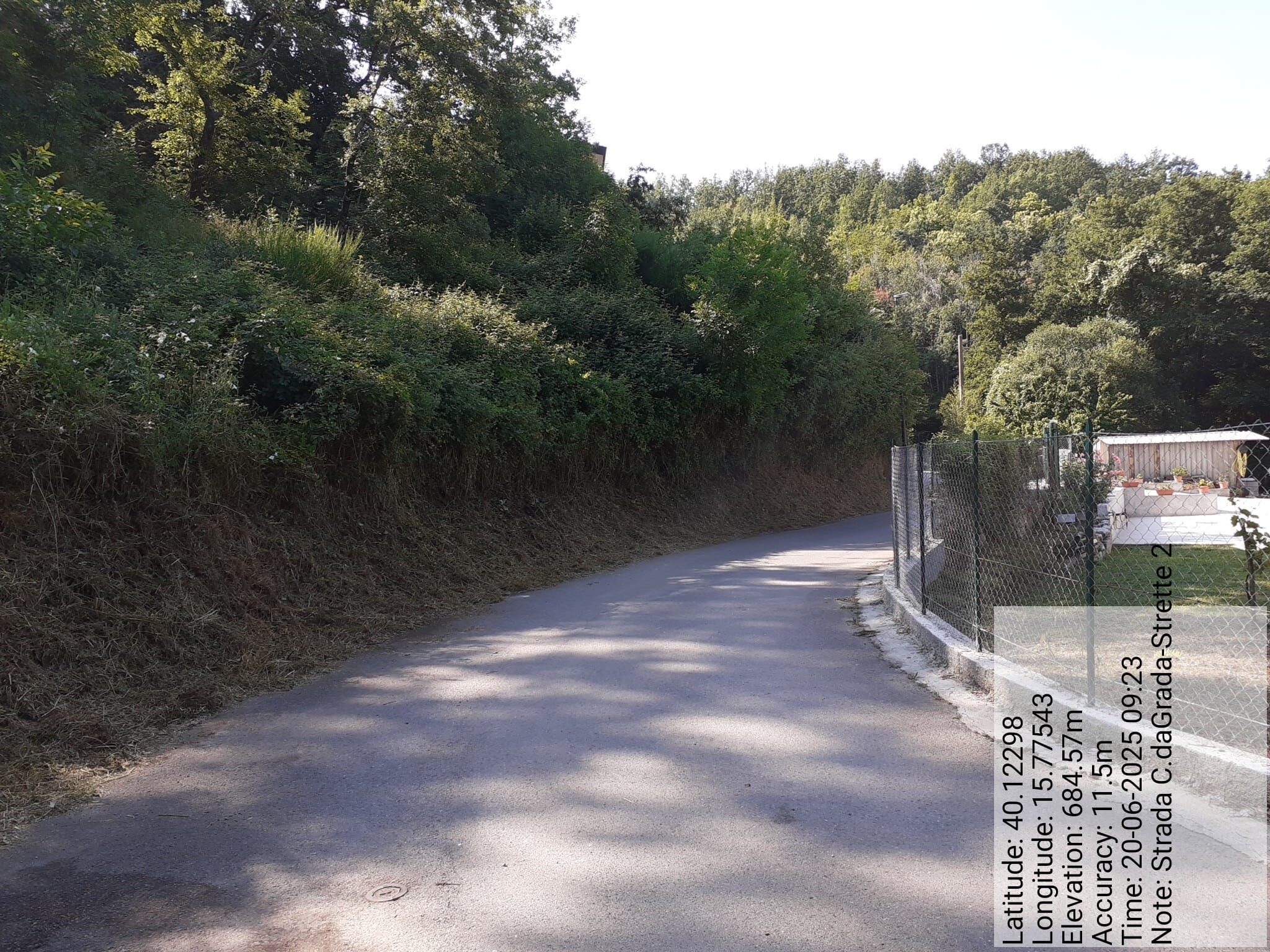 Galleria Fotografica Immagine