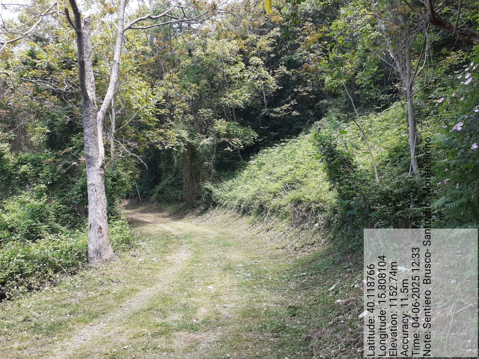 Galleria Fotografica Immagine