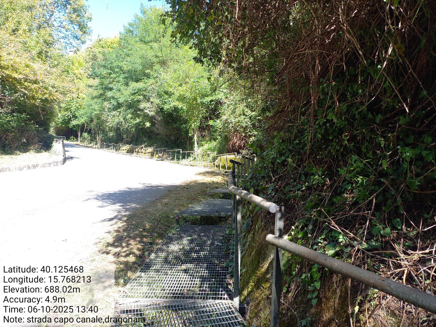 Galleria Fotografica Immagine