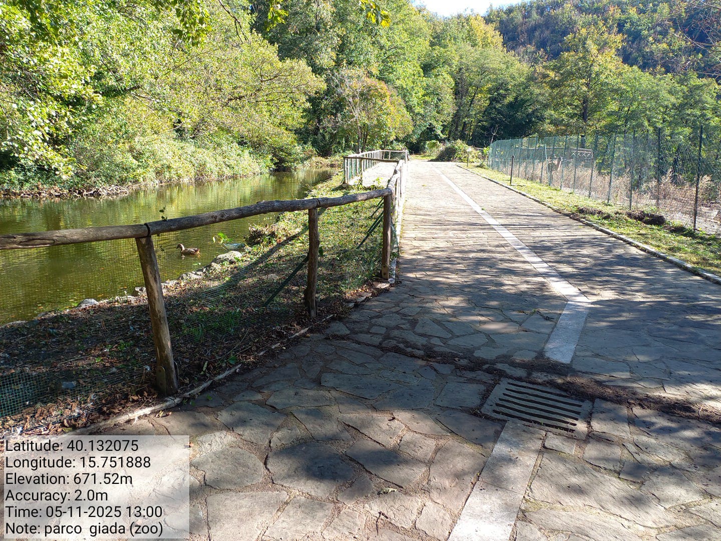 Galleria Fotografica Immagine