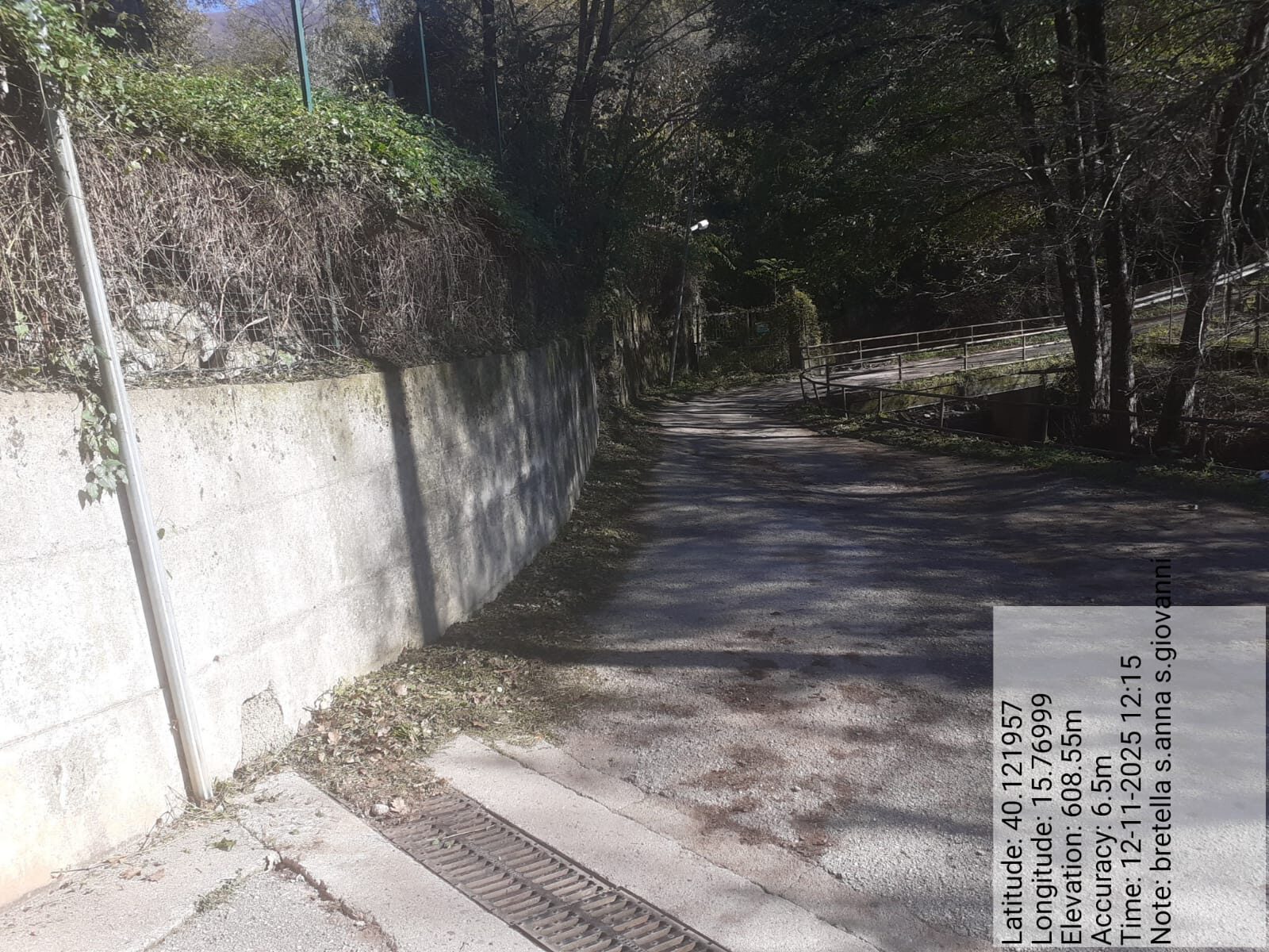 Galleria Fotografica Immagine