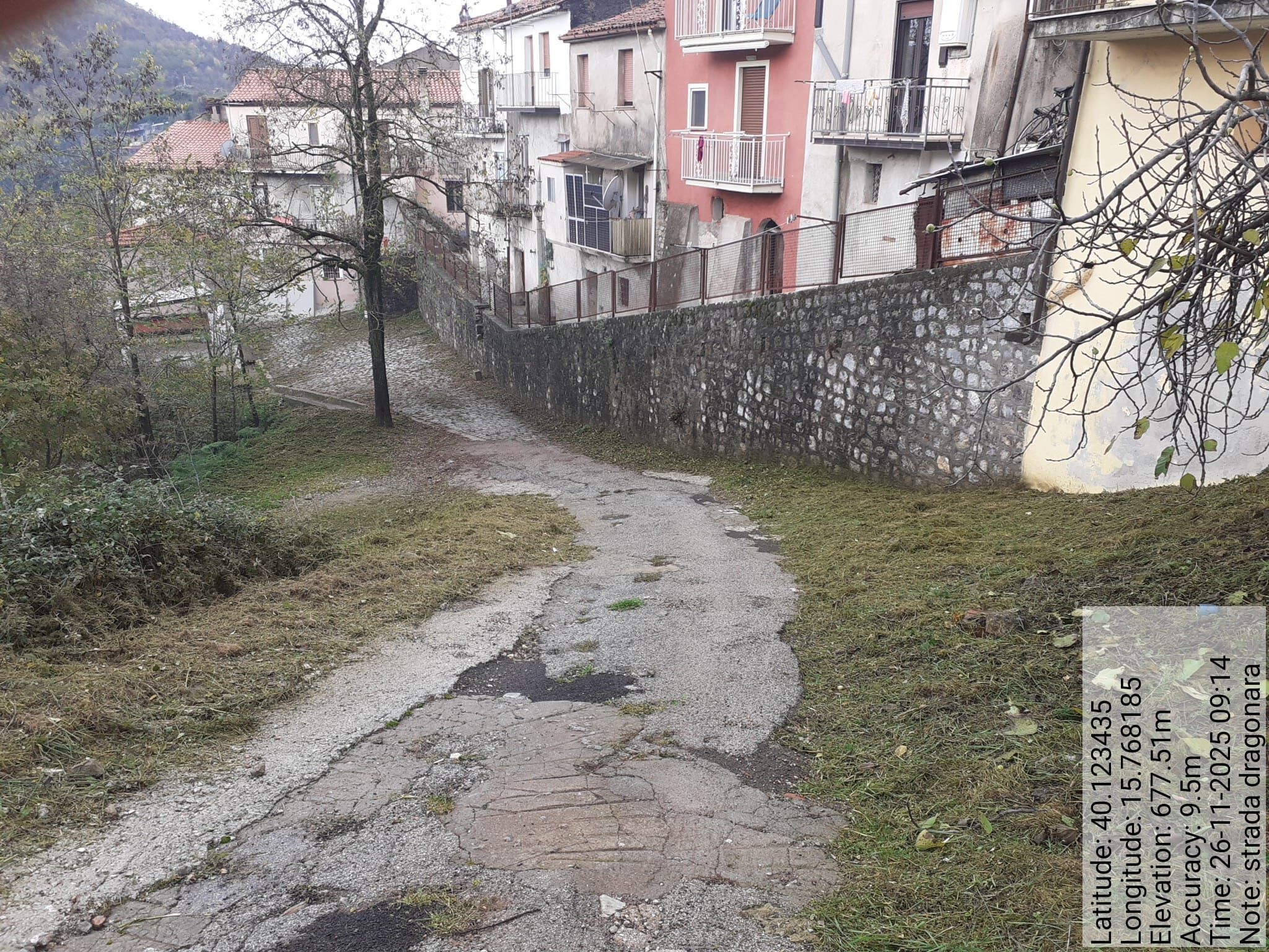 Galleria Fotografica Immagine